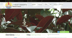 Desktop Screenshot of environnement.pf